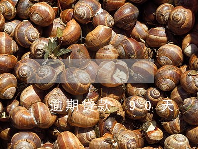 逾期贷款 90天 逾期贷款 90天